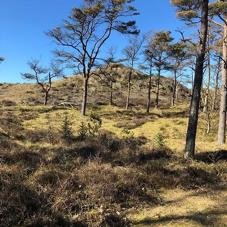 Knaldhytten * Blåvand