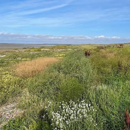 Knaldhytten Hébergement de vacances Blåvand