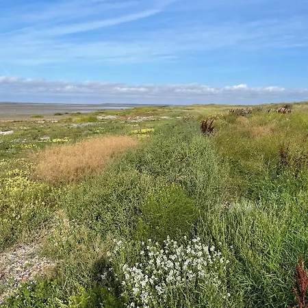 Knaldhytten Nyaraló Blåvand