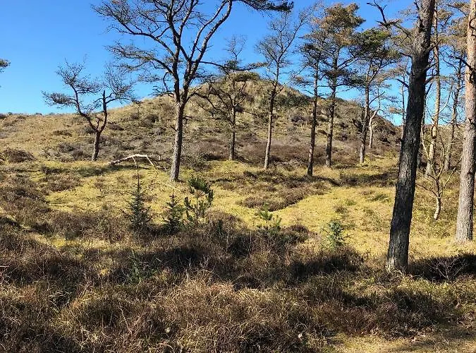 Knaldhytten * Blåvand