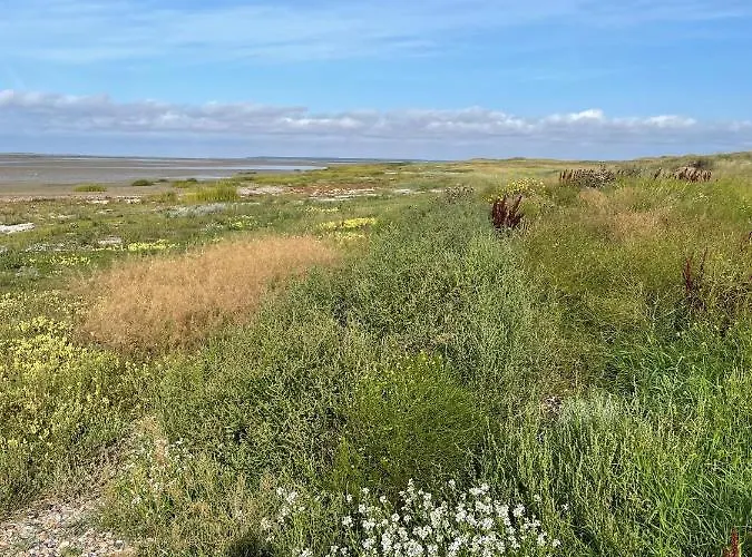 Knaldhytten Nyaraló Blåvand